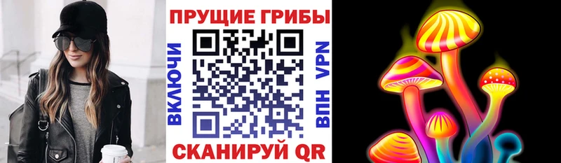 купить наркоту  Воронеж  Галлюциногенные грибы MAGIC MUSHROOMS 